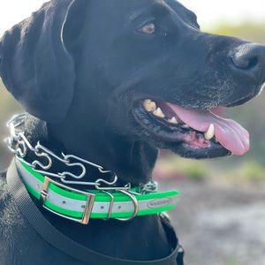 Meet your Posher, Alana